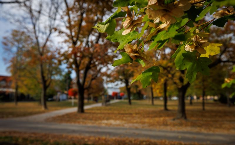 OCTOBER 19, 2026-12.jpg